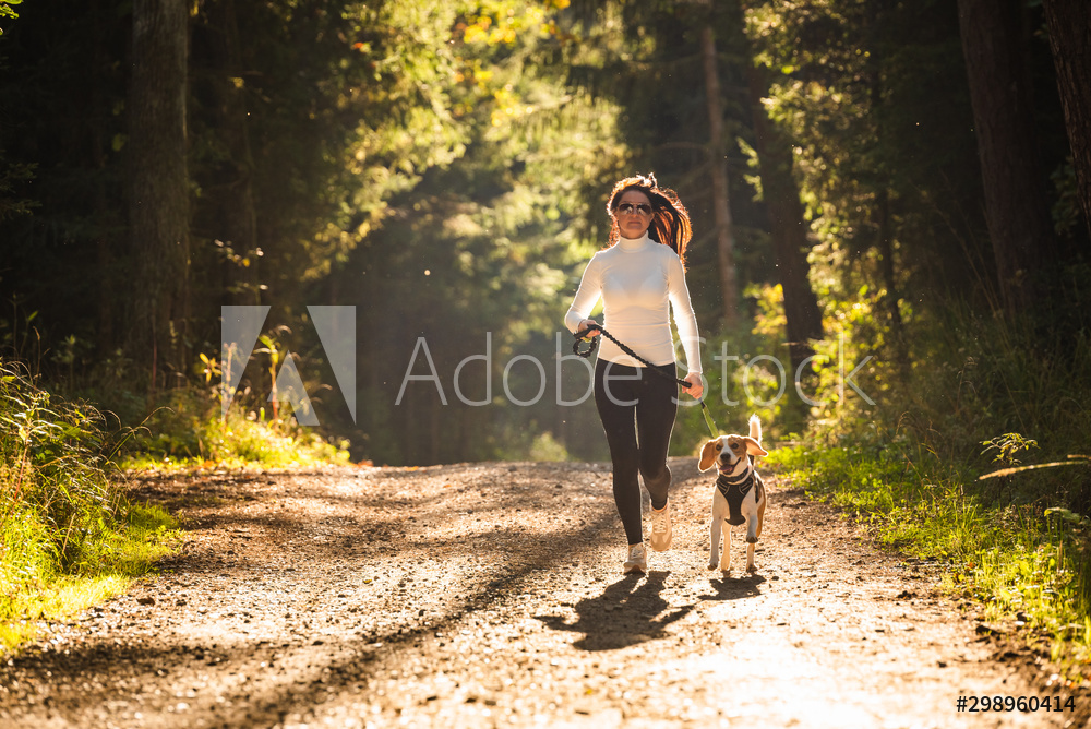 Girl is running with a dog (Beagle) on a leash in the autumn time, sunny day in forest. Copy space in nature